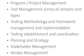 Program / Project Management Test Management across all streams and types Testing Methodology and Framework management and implementation Testing establishment and coordination Planning and Strategy Stakeholder Management Vendor Management