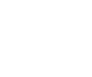 EXPERTISE As software engineers, we are technical problem solvers. This is what we do.