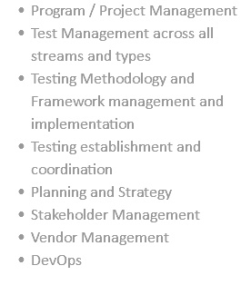 Program / Project Management Test Management across all streams and types Testing Methodology and Framework management and implementation Testing establishment and coordination Planning and Strategy Stakeholder Management Vendor Management DevOps